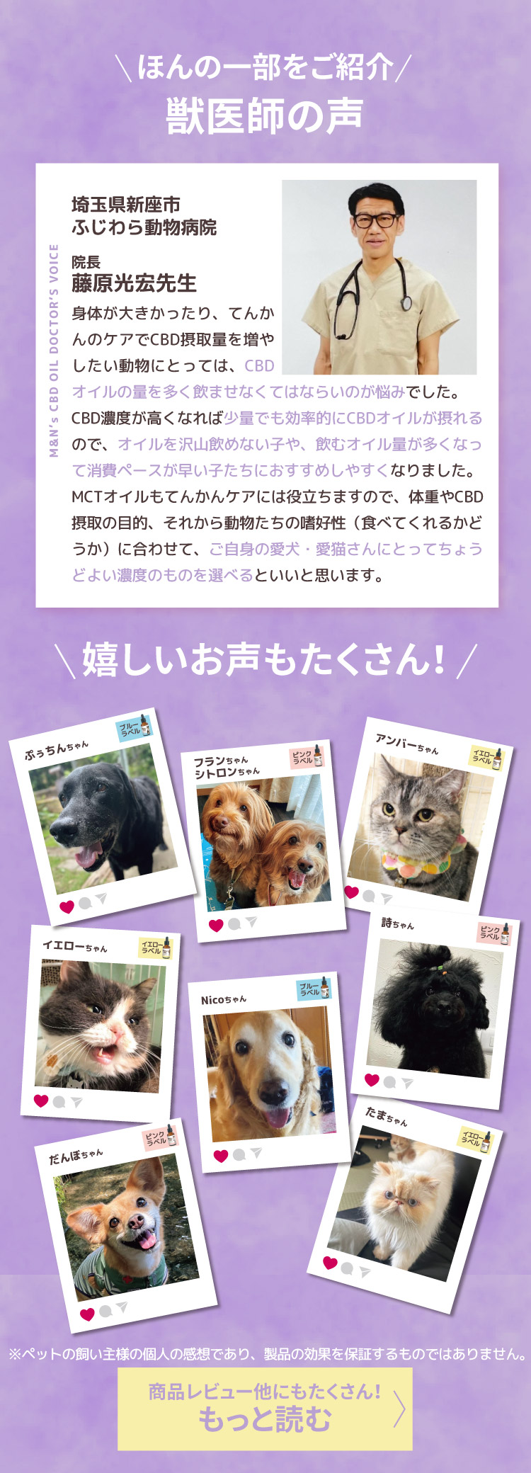 パープル みんなのお声 口コミ レビュー紹介 もっと読む
